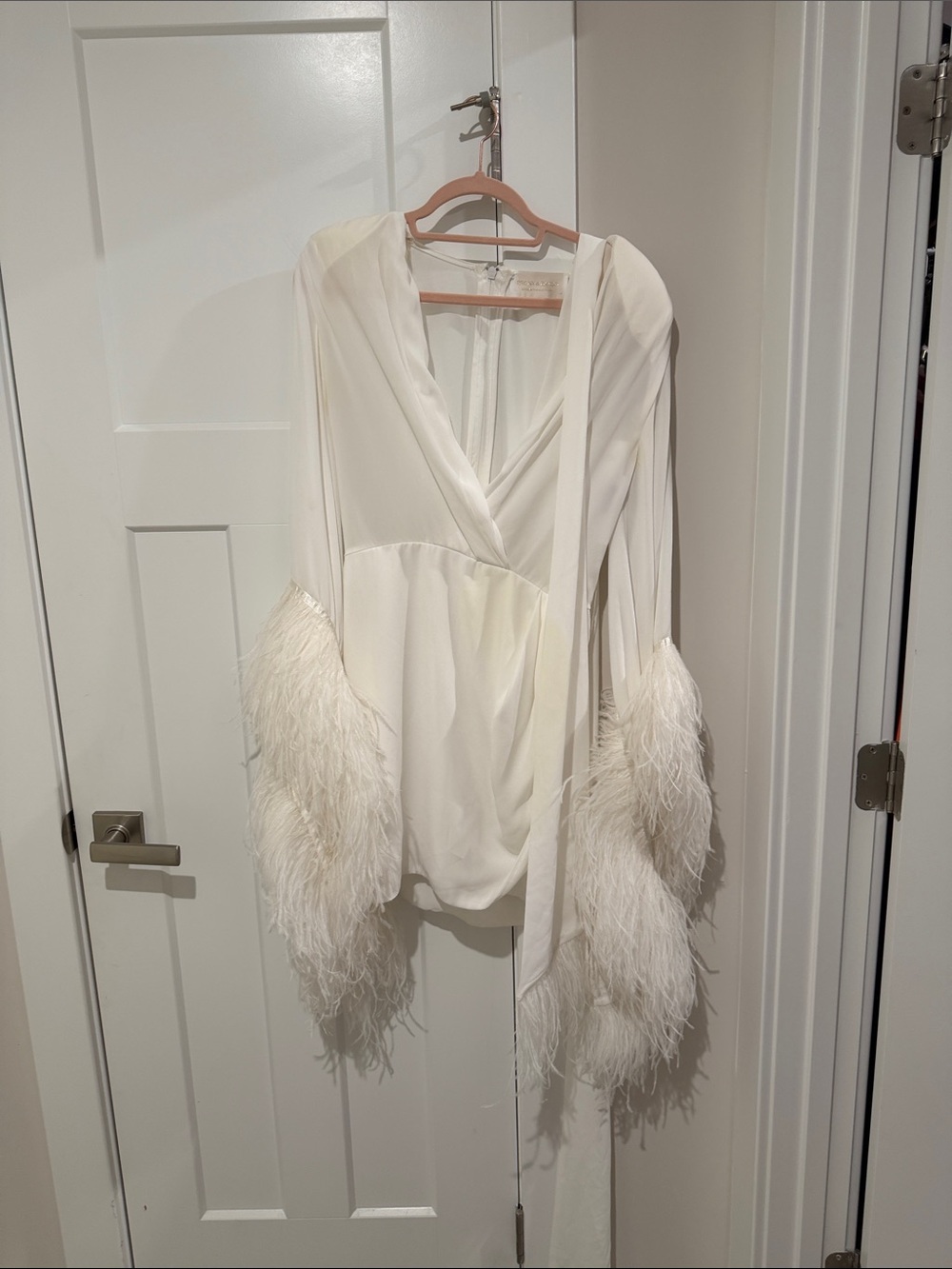 Bronx and Banco feather dress